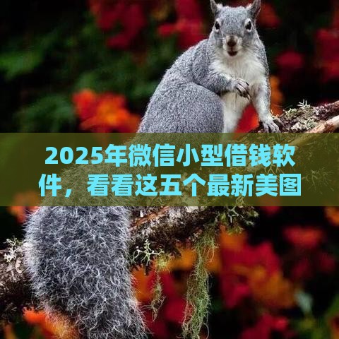 2025年微信小型借钱软件，看看这五个最新美图e钱包一样的平台