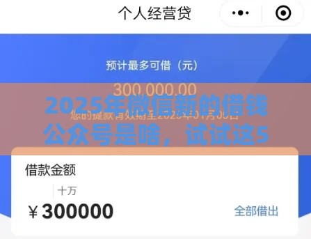 2025年微信新的借钱公众号是啥，试试这5个最新黑户借款平台