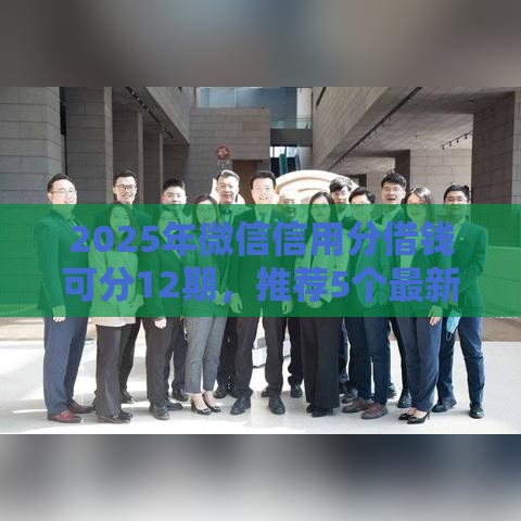 2025年微信信用分借钱可分12期，推荐5个最新无视风控10000必下口子