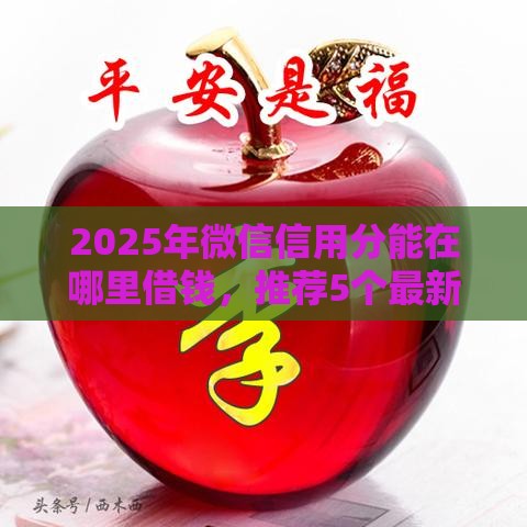 2025年微信信用分能在哪里借钱，推荐5个最新借300块钱用什么软件