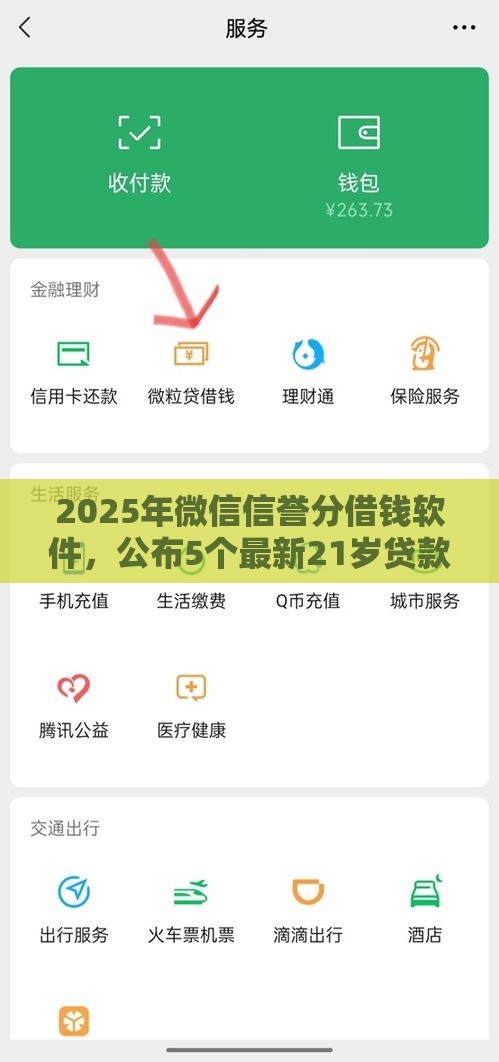 2025年微信信誉分借钱软件，公布5个最新21岁贷款平台