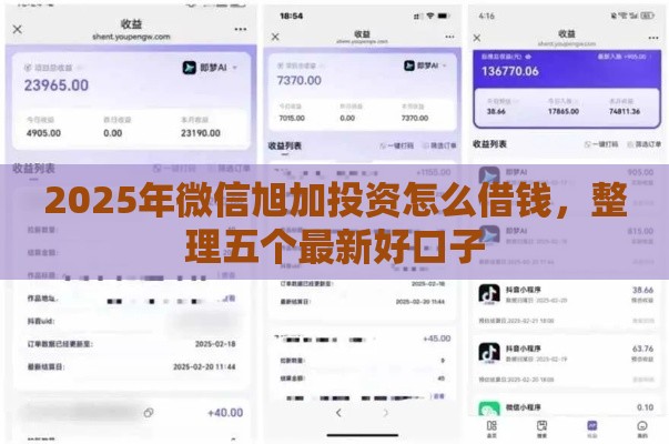 2025年微信旭加投资怎么借钱，整理五个最新好口子