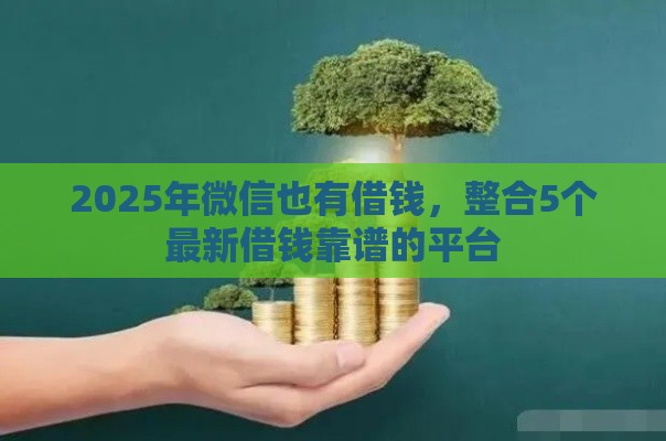 2025年微信也有借钱，整合5个最新借钱靠谱的平台