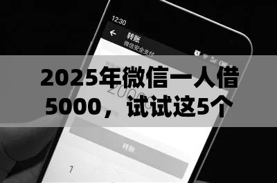 2025年微信一人借5000，试试这5个最新黑户真正能借到款的口子
