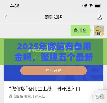 2025年微信有备用金吗，整理五个最新支付宝可以借钱的平台