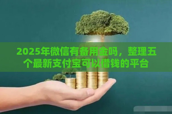 2025年微信有备用金吗，整理五个最新支付宝可以借钱的平台