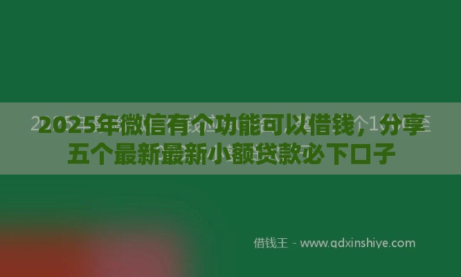 2025年微信有个功能可以借钱，分享五个最新最新小额贷款必下口子