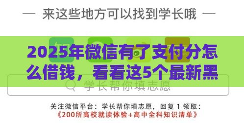 2025年微信有了支付分怎么借钱，看看这5个最新黑户借钱的平台100%能借