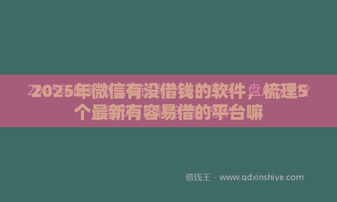 2025年微信有没借钱的软件，梳理5个最新有容易借的平台嘛
