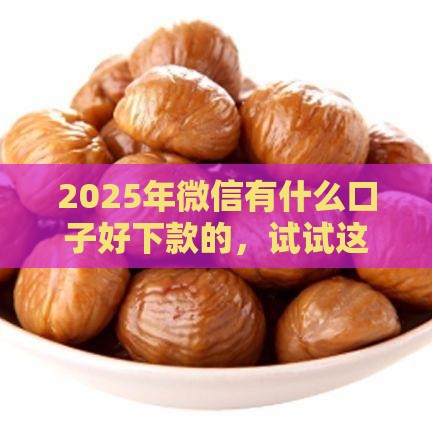 2025年微信有什么口子好下款的，试试这五个最新企业网贷平台