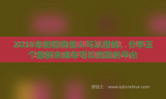 2025年微信有些人可以借钱，分享五个最新未成年可以贷款的平台