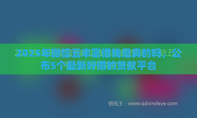 2025年微信云丰富借钱是真的吗，公布5个最新好借的贷款平台