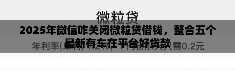 2025年微信咋关闭微粒贷借钱，整合五个最新有车在平台好贷款