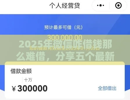 2025年微信咋借钱那么难借，分享五个最新个体户贷款平台