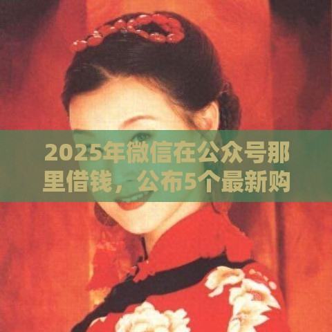 2025年微信在公众号那里借钱，公布5个最新购物贷款平台