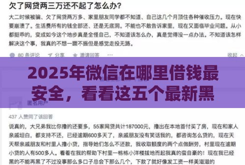 2025年微信在哪里借钱最安全，看看这五个最新黑户高炮口子