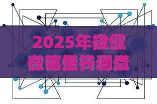 2025年微信在哪里开通借钱功能，公布5个最新不查征信的网络贷款平台