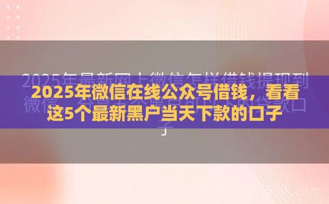 2025年微信在线公众号借钱，看看这5个最新黑户当天下款的口子