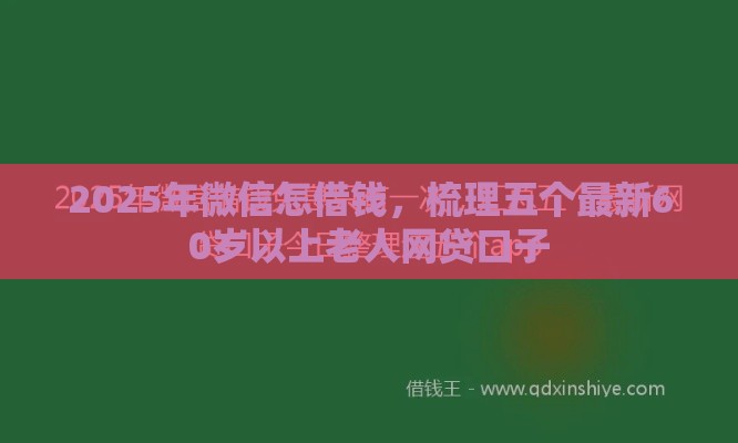 2025年微信怎借钱，梳理五个最新60岁以上老人网贷口子
