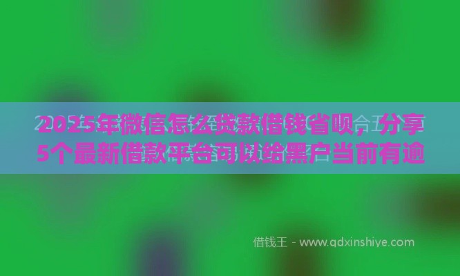 2025年微信怎么贷款借钱省呗,分享5个最新借款平台可以给黑户当前有逾期的借款一万 2025年微信怎么贷款借钱省呗,分享5个最新借款平台可以给黑户当前有逾期的借款一万