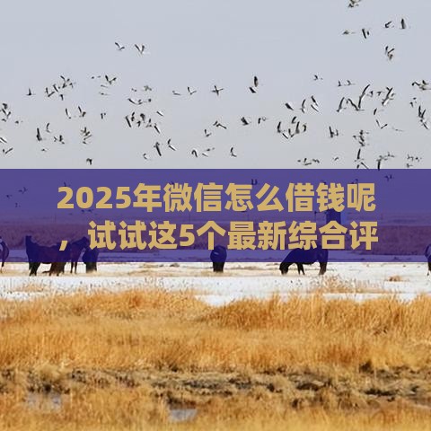 2025年微信怎么借钱呢，试试这5个最新综合评分不足可以在平台借到钱