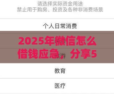 2025年微信怎么借钱应急，分享5个最新网贷保单贷最好的平台