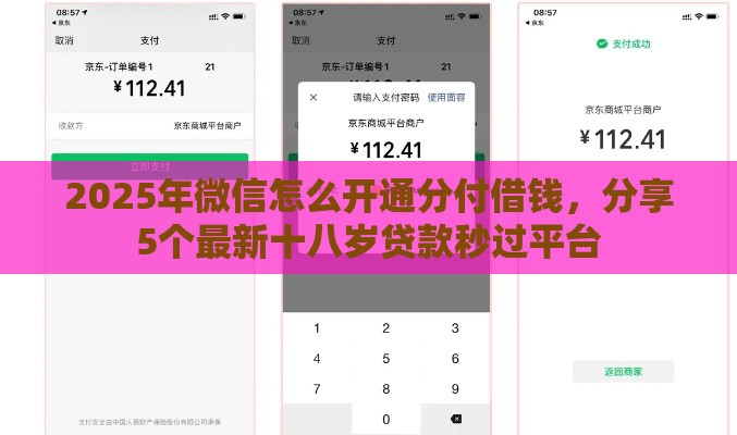 2025年微信怎么开通分付借钱，分享5个最新十八岁贷款秒过平台