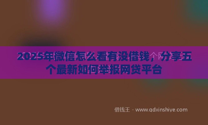 2025年微信怎么看有没借钱，分享五个最新如何举报网贷平台