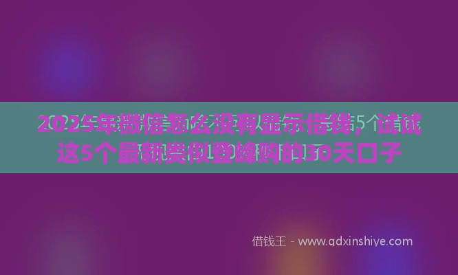 2025年微信怎么没有显示借钱，试试这5个最新类似登峰购的30天口子