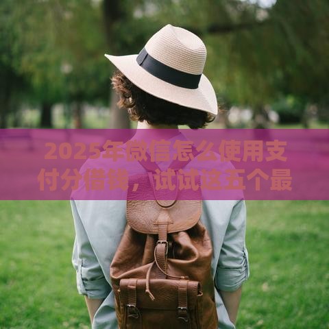 2025年微信怎么使用支付分借钱，试试这五个最新微信借钱平台