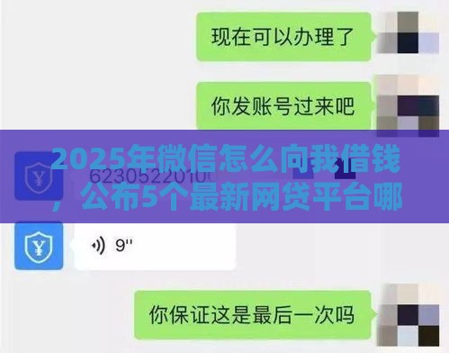 2025年微信怎么向我借钱，公布5个最新网贷平台哪些比较正规