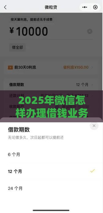 2025年微信怎样办理借钱业务流程，整合五个最新贷款加盟平台