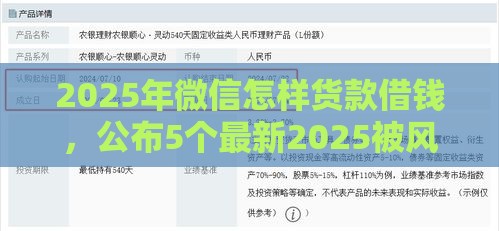 2025年微信怎样货款借钱，公布5个最新2025被风控了必下的口子