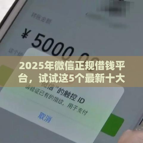 2025年微信正规借钱平台，试试这5个最新十大安全借钱平台