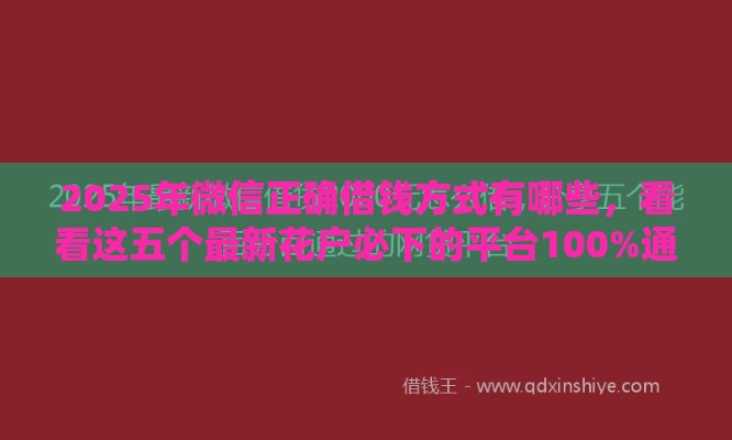 2025年微信正确借钱方式有哪些，看看这五个最新花户必下的平台100%通过率