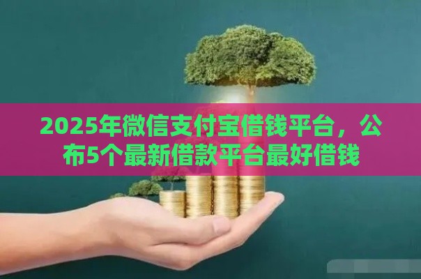 2025年微信支付宝借钱平台，公布5个最新借款平台最好借钱