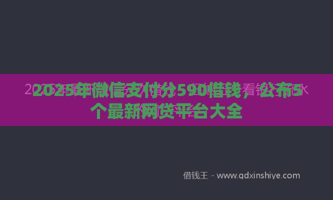 2025年微信支付分590借钱，公布5个最新网贷平台大全