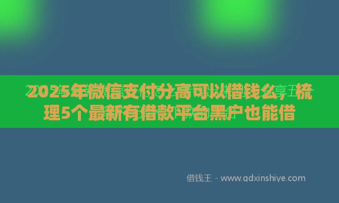 2025年微信支付分高可以借钱么，梳理5个最新有借款平台黑户也能借