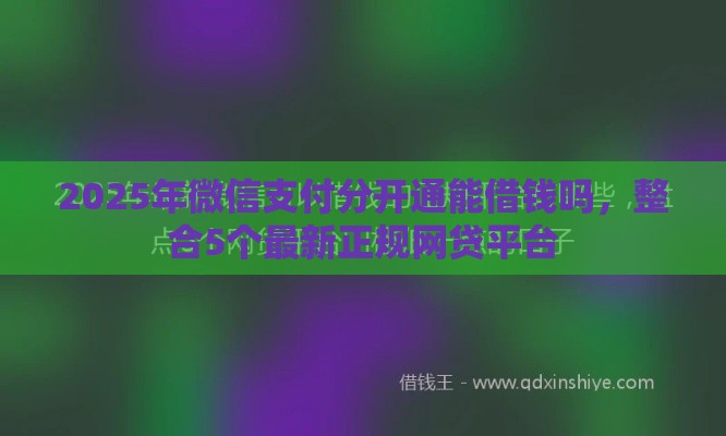 2025年微信支付分开通能借钱吗，整合5个最新正规网贷平台