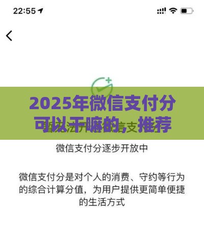 2025年微信支付分可以干嘛的，推荐5个最新当前双黑逾期严重能下款的平台