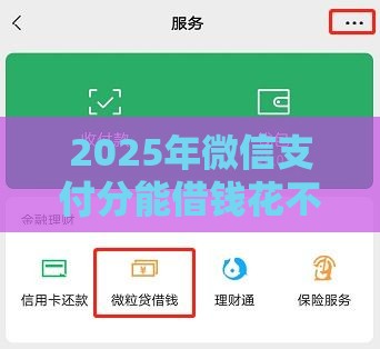 2025年微信支付分能借钱花不，整理5个最新贷款平台好利息低