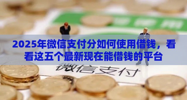 2025年微信支付分如何使用借钱，看看这五个最新现在能借钱的平台