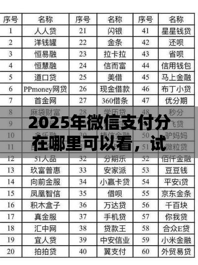 2025年微信支付分在哪里可以看，试试这5个最新网贷平台借钱靠谱