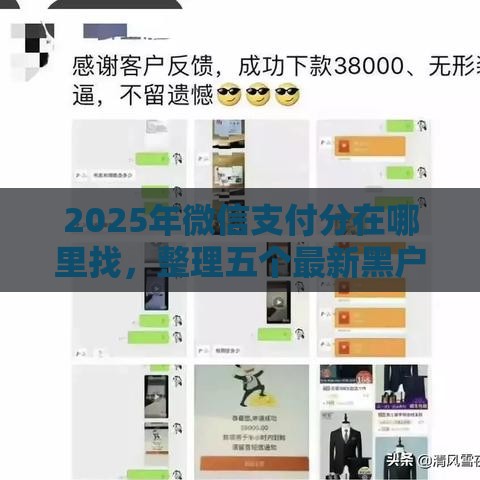 2025年微信支付分在哪里找，整理五个最新黑户网贷黑名单急需一万平台能下款