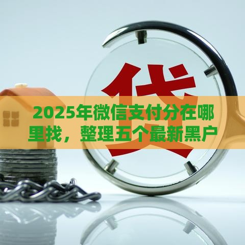2025年微信支付分在哪里找，整理五个最新黑户网贷黑名单急需一万平台能下款