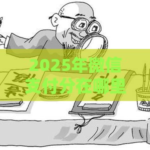 2025年微信支付分在哪里找，整理五个最新黑户网贷黑名单急需一万平台能下款