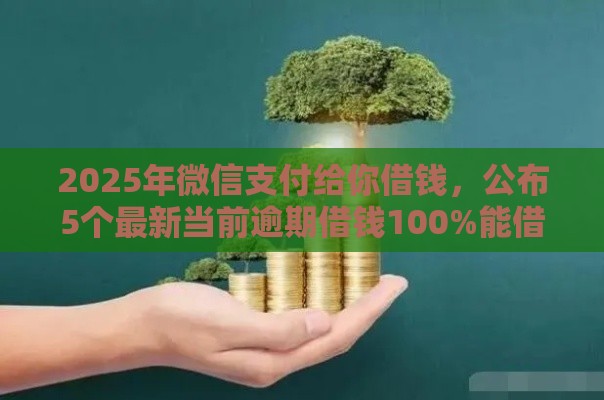 2025年微信支付给你借钱，公布5个最新当前逾期借钱100%能借到平台