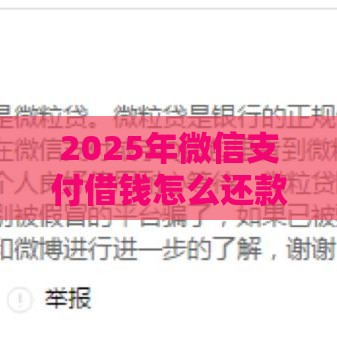 2025年微信支付借钱怎么还款的，公布五个最新黑了也可以放款的平台