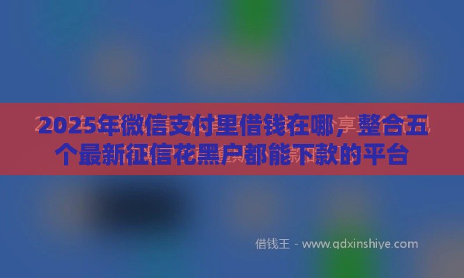 2025年微信支付里借钱在哪，整合五个最新征信花黑户都能下款的平台