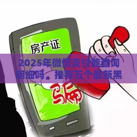 2025年微信支付能查询明细吗，推荐五个最新黑户也能下款的口子